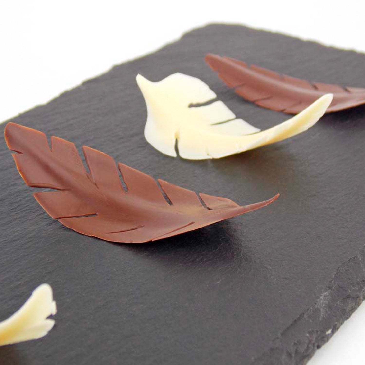Chocolate Feathers | Online Cake Decorating Lesson - Alona Cake School